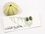 12mm mussel shell shaped flameworked glass earring studs in a sea green colour displayed on an earring card.