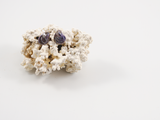 Mussel shell shaped flameworked glass earring studs in metallic-purple.