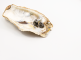 Flameworked glass earring studs shaped like mini mussel shells inspired by the colour of black sea salt.