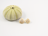 Shell shaped flameworked glass earring studs in a sun-bleached ivory colour.