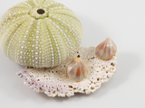 Flameworked glass earring studs in an opalescent pink colour sitting with various shells.