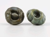 360 degree detail view of barnacle earrings with stainless steel ear stud. Variegated Sea-green.