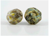 360 degree detail view of operculum style barnacle earrings with stainless steel ear stud.