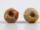 360 degree detail view of lacuna style barnacle earrings with stainless steel ear stud.