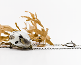 NKBR002 order|chaos necklace-broach flameworked blown glass pebble