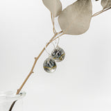 flameworked glass beads in dark charcoal are set with sterling silver and brass disks hanging on sterling silver earhooks shown hanging on a branch
