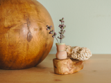 flameworked glass lavender sculpture with three sprigs set into blown vase on cherry wood base displayed on a shelf..