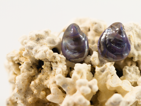 Detail of mussel shaped flameworked glass earring studs in metallic-purple.