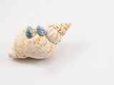 Flameworked glass earring studs shaped like a mussel shell, in colours reminiscent of a mermaid's tail.