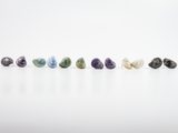 A selection of six pairs of mussel shell shaped earring studs in a variety of colours.