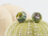 Front Detail of mini barnacle shaped earring studs in a variegated sea-green glass with silver foil detail.