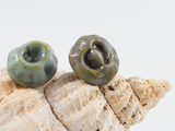 Front detail of large variegate sea green barnacle earring studs.